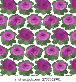 Pattern Chinese Flowering Purple Cabbage for botanical themes, seasonal decor, garden inspiration, cultural storytelling, educational materials, eco concepts.