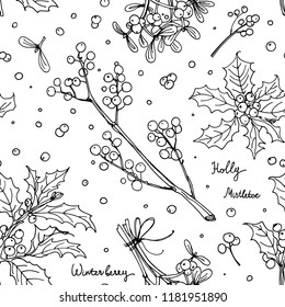 Pattern christmas decor, plants line drawn. Sketch of berries and leaves. Winter berries, mistletoe, holly