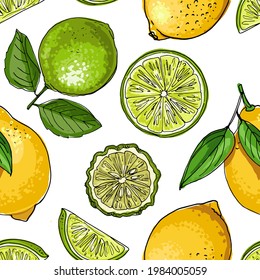 Pattern with citrus fruits lime lemon. Vector food sketch. Exotic food drawings