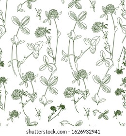 Pattern of clover flowers. Botanical pattern of clover in the style of the sketch.