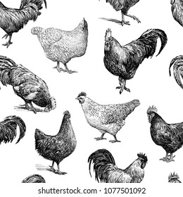 Pattern of the cocks and hens sketches