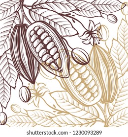 pattern of cocoa packages with beans, branch and leaves