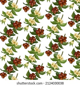 Pattern with coffee branches.Branches of coffee with flowers and fruits on a transparent background in a seamless vector pattern.