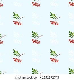 Pattern of colored and monochrome rowan branches on a blue background. Vector illustration.
