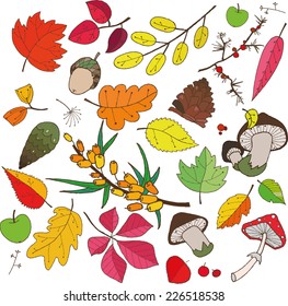 pattern of colorful autumn leaves can be used as a background, card, business card and picture, vector illustration