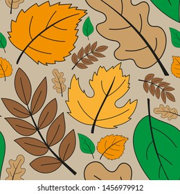 Pattern of colorful autumn leaves on a beige background