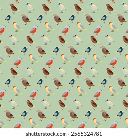 Pattern with colorful birds. Green background. Seamless illustration. Vector illustration