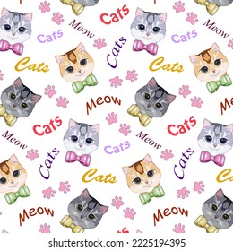 Patrón con gatos coloridos.Patrón vectorial con gatos coloridos y textos sobre un fondo transparente.