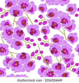 pattern of colorful Orchid flowers vector illustration.stock vector images of beautiful pink Orchid flowers. bright background.
