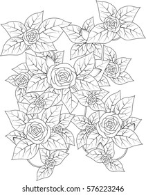 Pattern for coloring book. Black and white background with floral hand drawn elements for design.