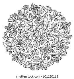 Pattern for coloring book. Leaves. Ethnic, floral, retro, doodle, tribal design element. Black and white background. Round zentangle patterns.