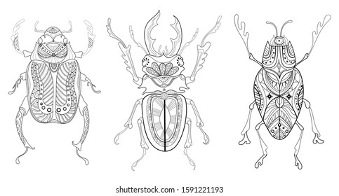 Pattern for coloring book. Coloring pages for adults and children. Natural elements, patterns. Antistress, art therapy. Black and white image of a beetle.