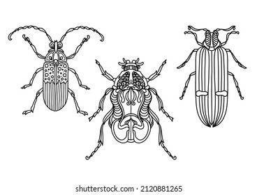 Pattern for coloring book. Coloring pages for adults and children. Natural elements, patterns. Antistress, art therapy. Black and white image of a beetle.