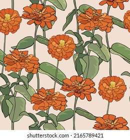 Pattern with common zinnia. Orange elegant zinnia flower on beige background