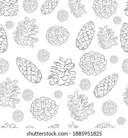 Pattern, cones isolated on white background. Vector image. Spruce and pine cones, side and top view.