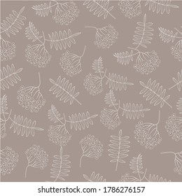 pattern contour image of rowan. vector image