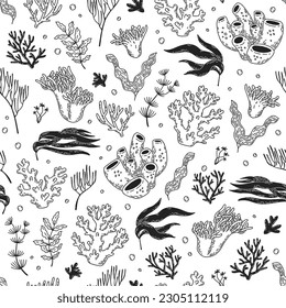 Pattern with corals and seaweed. Vector seamless hand-drawn texture.
