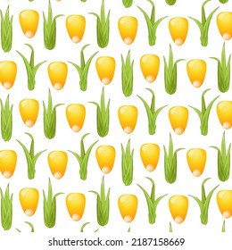 Pattern from corn grains.Corn grains with green sprouts on a transparent background in a vector pattern.