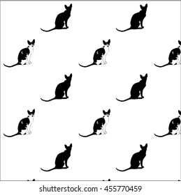 Pattern of cornish rex cat of black and white color and black silhouette on white background