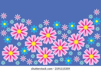 Patrón de flores de cosmos sobre fondo azul.