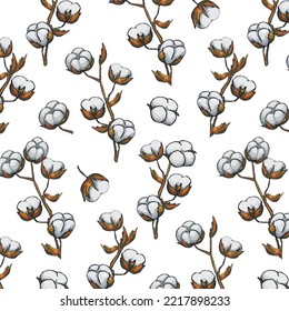 Pattern with cotton branches.Vector seamless pattern with cotton branches on a transparent background.