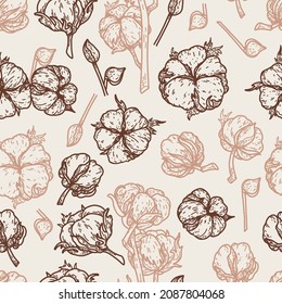Patrón con brunch de algodón sobre fondo beige. Algodón para diseño textil. Ilustraciones de líneas