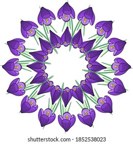 pattern of Crocus flowers, making geometric patterns and circles, flower plot