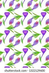 pattern with Crocus  Violet flowers with green leaves. Spring flowers