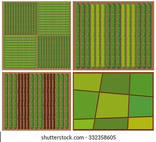 Pattern of crops from top view illustration