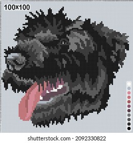 pattern for cross stitch or knitting - portrait of black schnauzer puppy tongue sticking 