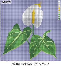 Pattern for cross stitch or knitting - white anthurium with leaves, vector image