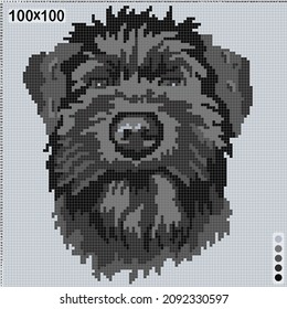 pattern for cross-stitch or knitting - portrait of black schnauzer puppy 