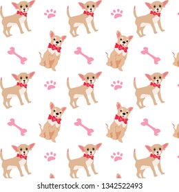 pattern cute chihuahua and 
bone for girl and pajamas