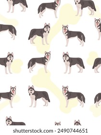 Pattern of cute husky with bone on white background.
