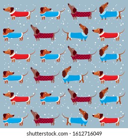 Pattern with Dachshund dogs, winter clothes for dogs, winter