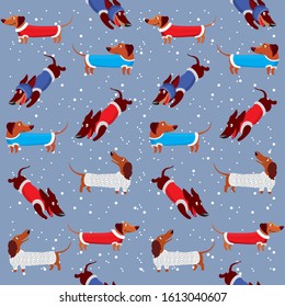 Pattern with Dachshund dogs, winter clothes for dogs, winter