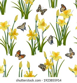 Pattern with daffodils and butterflies.Daffodils and multicolored butterflies on a white background in a vector pattern.