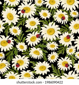 Pattern with daisies and ladybirds.Chamomiles and ladybugs on a black background in a color vector pattern.