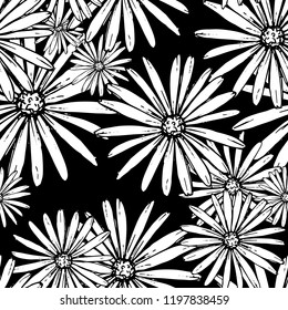 Pattern of daisies manually drawn ink. White and black illustration. Floral surface design.