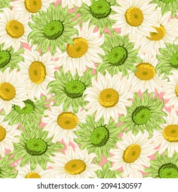 Pattern with daisies on a colored background.Colored vector pattern with multi-colored daisies on a colored background.