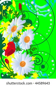 The pattern of daisies and poppies