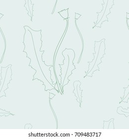 Pattern of  dandelion, seamless . Hand drawn.