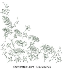 Pattern of dandelions. Natural arrangement of wild flowers