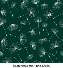 Pattern of the dandelions seeds