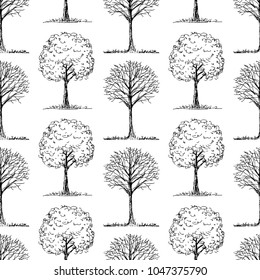 Pattern of the deciduous trees sketches