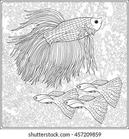 Pattern with decorative corals and sea or aquarium fish. Vector illustration. Coloring book for adult and older children. Outline drawing coloring page.