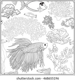 Pattern with decorative corals and sea or aquarium fish. Vector illustration. Coloring book for adult and older children. Outline drawing coloring page.