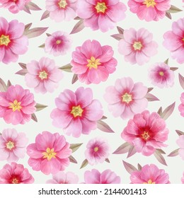 Pattern with delicate pink primrose flowers, vector, watercolor illustration