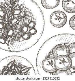 pattern of delicious italian food
