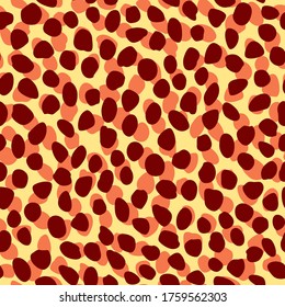 pattern design of animal print vector